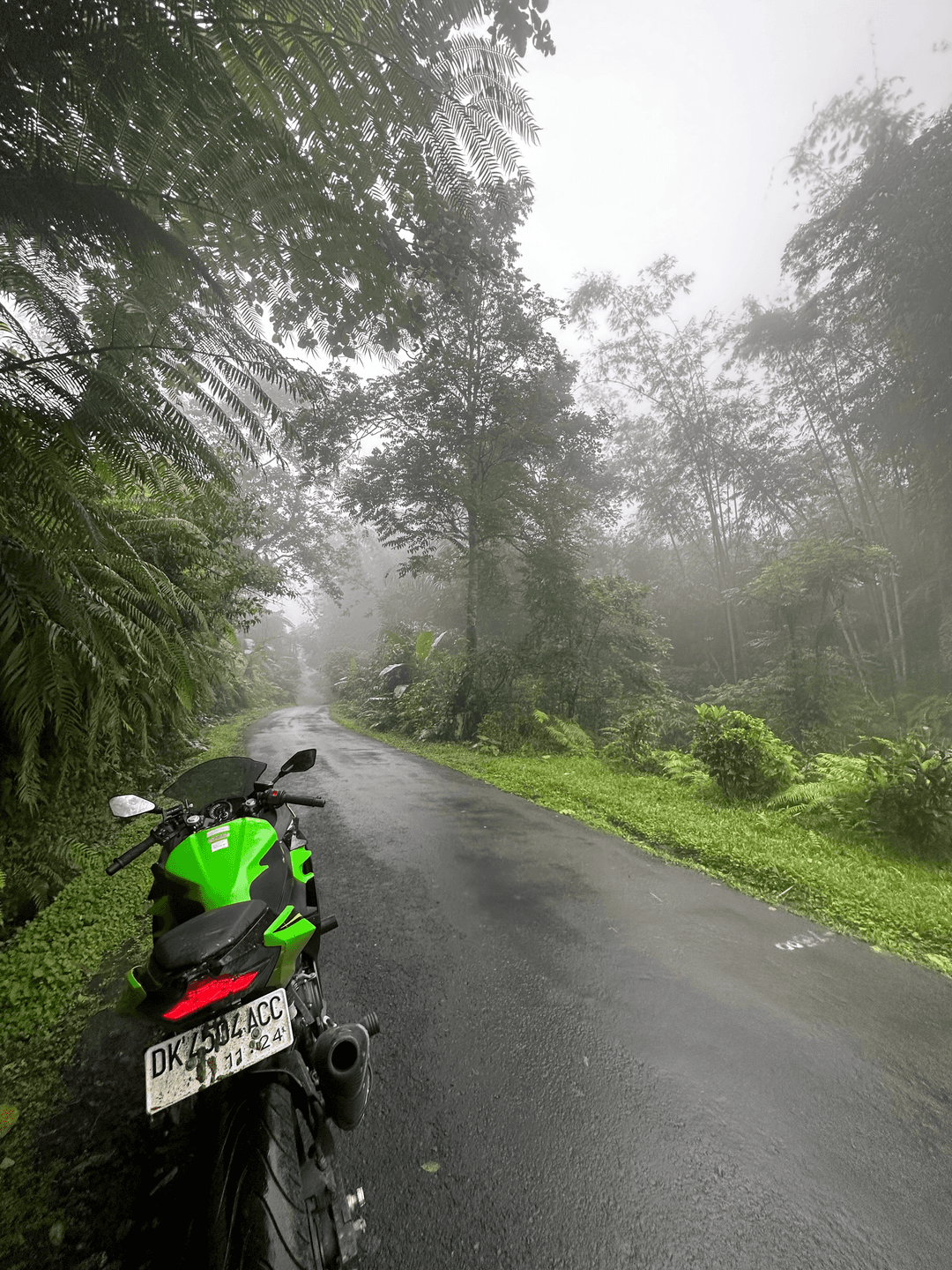 Bali Jungle and my bike